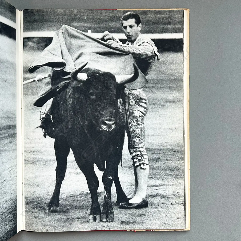 PETER BUCKLEY: BULLFIGHT Image 1++